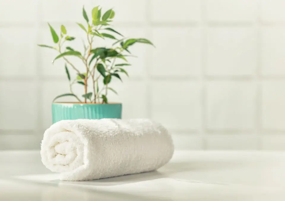 bathroom accessories